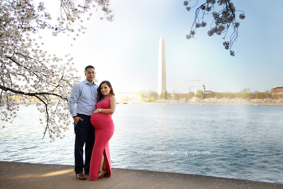 Washington DC maternity photographer
