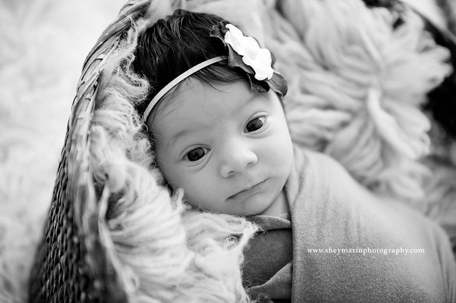 black and white newborn girl looking at camera