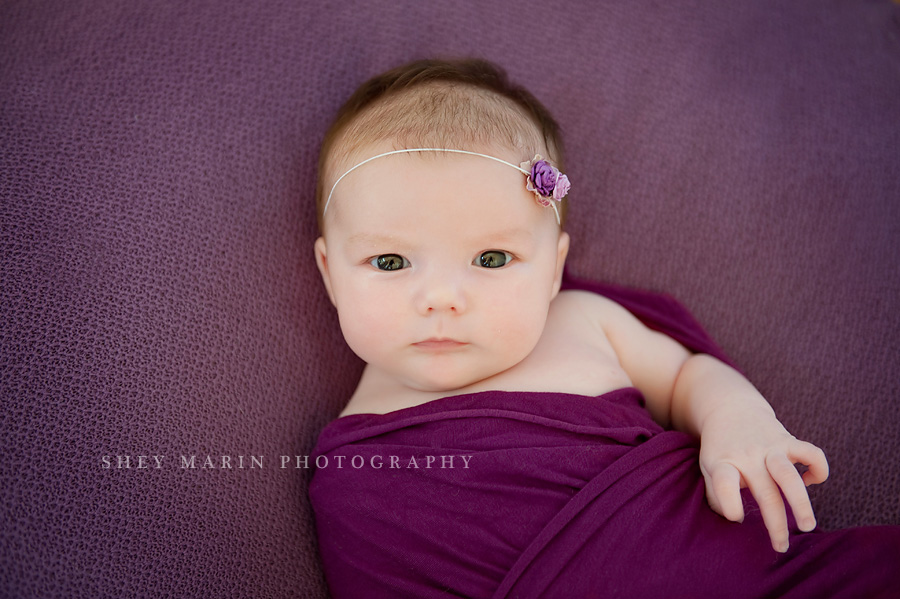 newborn baby girl in purple wrap in frederick maryland studio