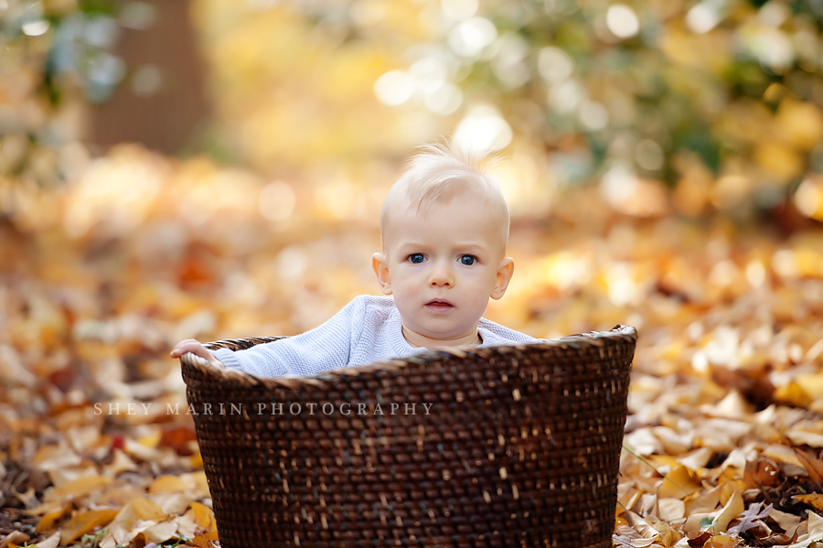 little boy in basket in fall in maryland