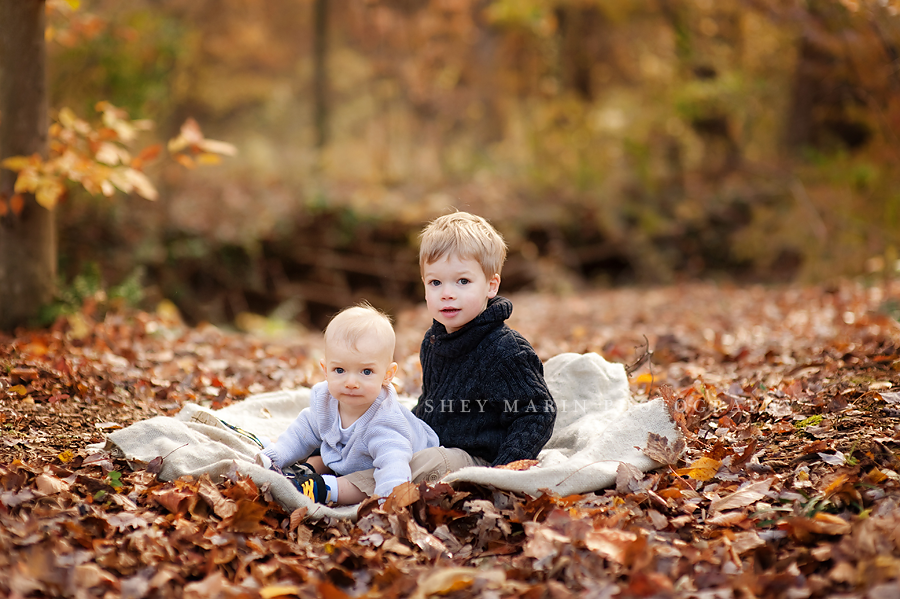 two brothers sitting on blanket in fall leaves in washignton dc