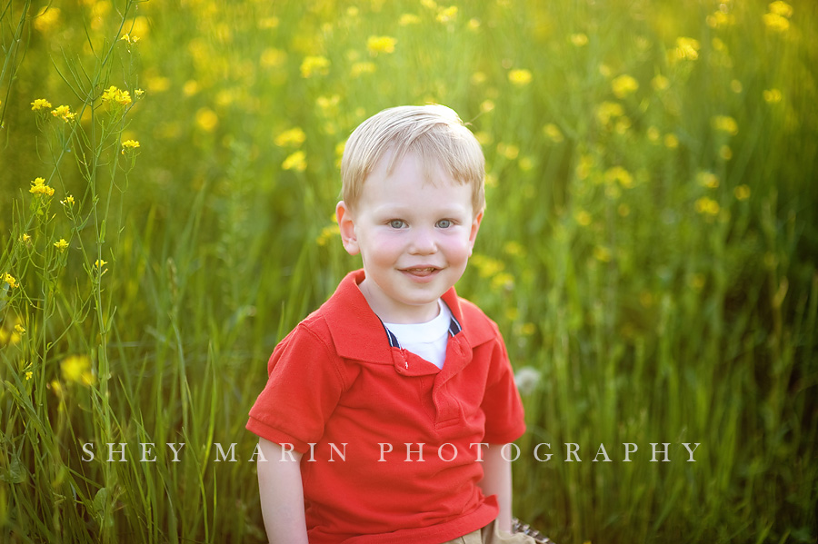 cute boy in a yellow wildflower field