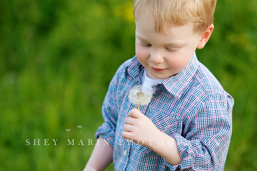 boy blowing dandelion seeds