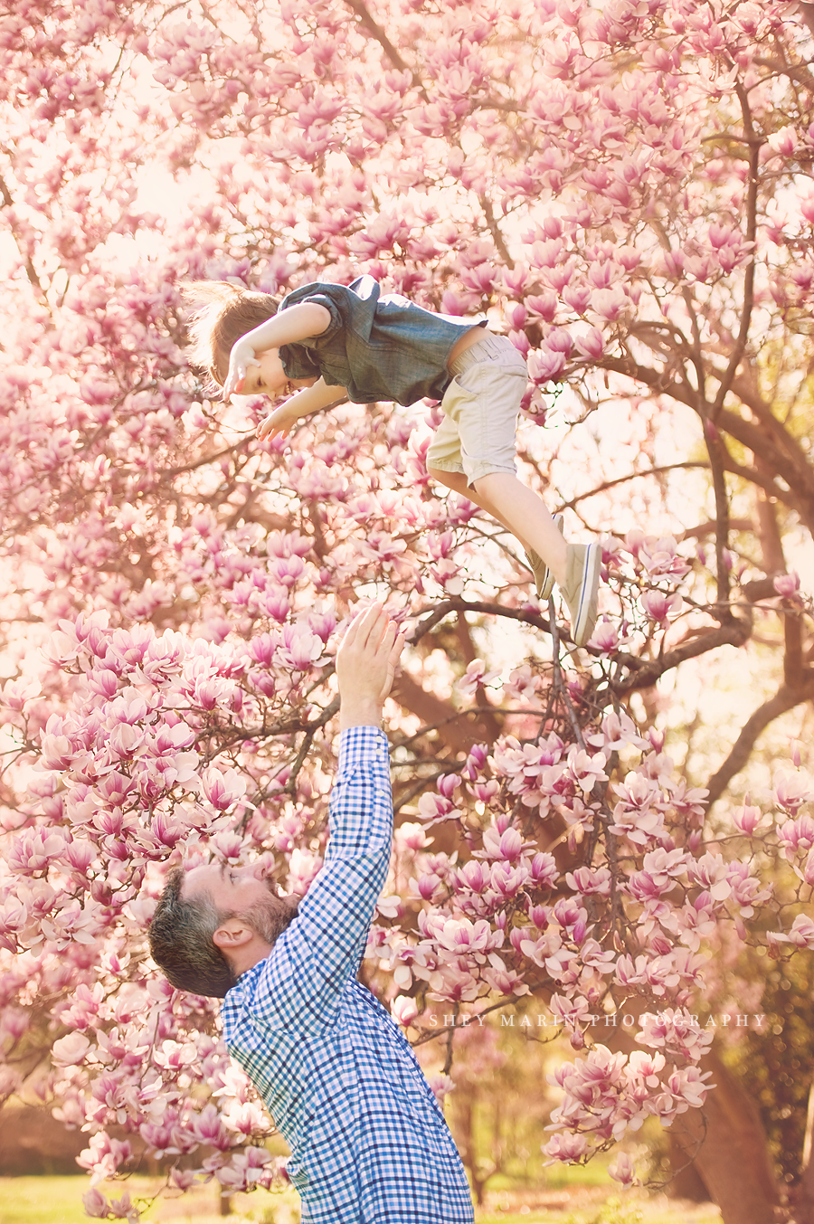 little boy being tossed in the air in the cherry blossoms