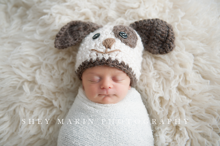 newborn baby boy with puppy dog knit hat