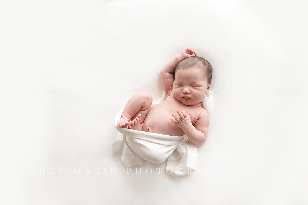 Frederick Maryland newborn photographer