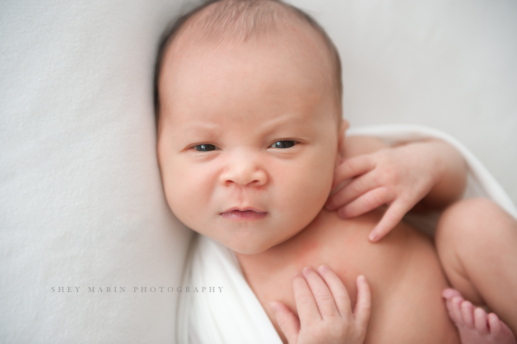 beautiful 12 day old newborn girl | Washington DC Newborn Photographer