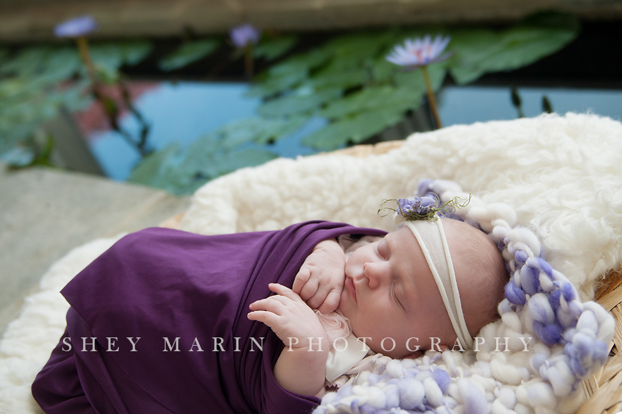 3 week old baby girl| Washington DC Newborn Photographer
