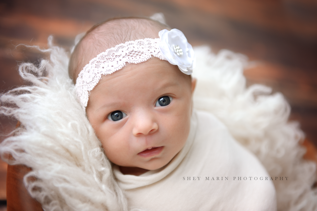 lovely baby girl | Washington DC newborn photographer