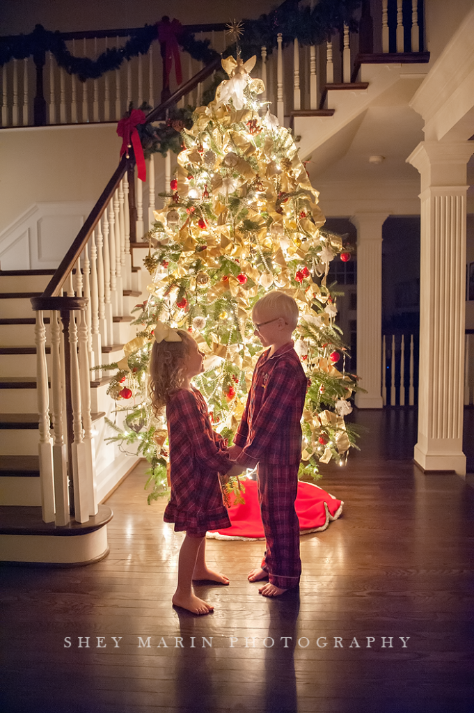 Christmas | Frederick Maryland childrens photographer
