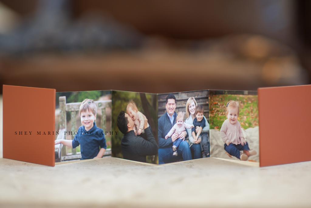 mini albums | Frederick Maryland family photographer