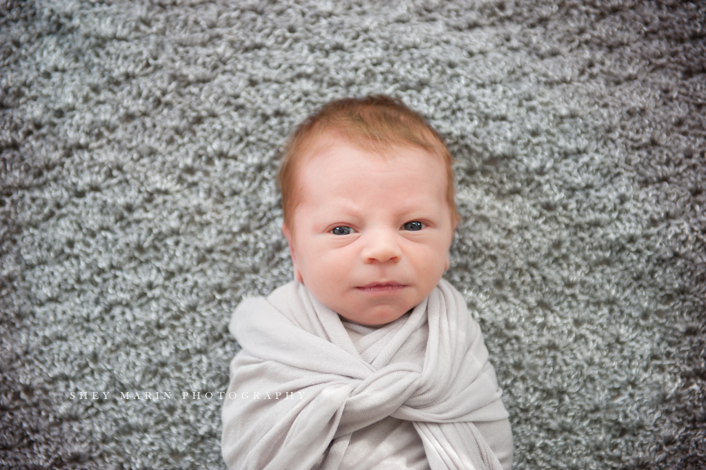baby brother | Washington DC newborn photographer