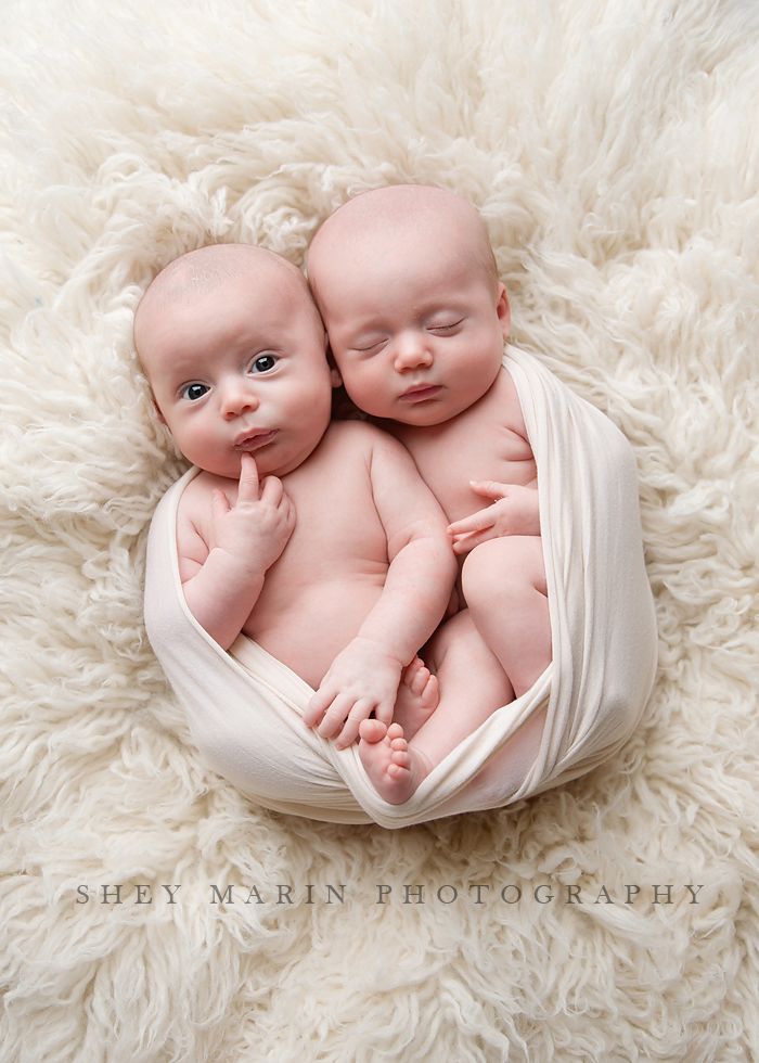 neutral twins | Washington DC multiples newborn photographer