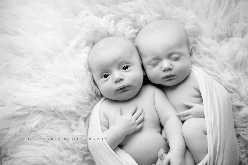 black and white twins | Washington DC multiples newborn photographer