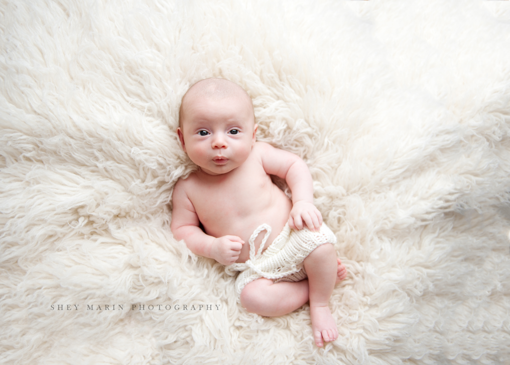 twins | Washington DC multiples newborn photographer