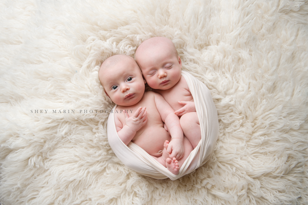 Twins Boy And Girl Washington Dc Newborn Multiples Photographer