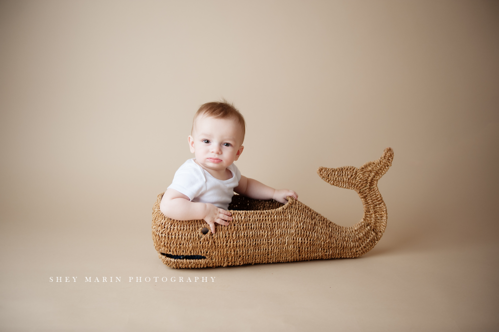 sitter 6 month old | Frederick Maryland baby photographer