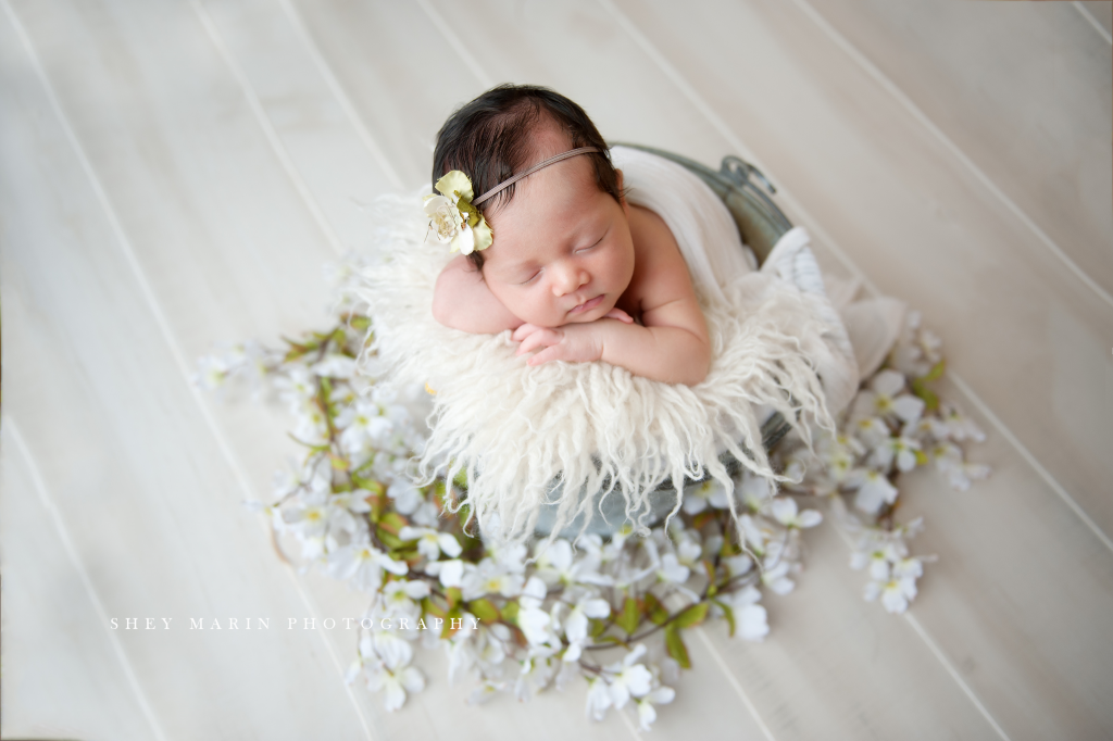 newborn baby girl in bucket with dogwood flowers