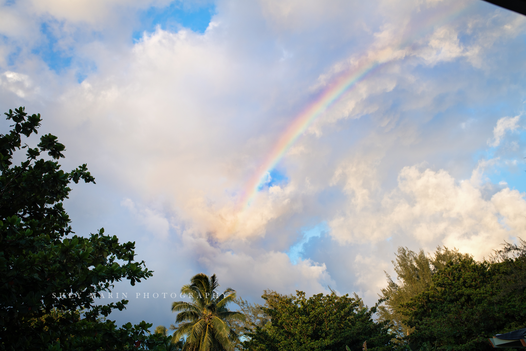 kauai family photographer rainbow