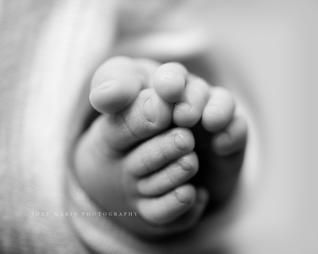 travel newborn photographer | Washington DC baby macro toes