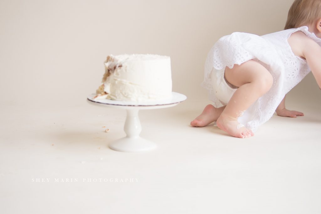 cake smash one year old frederick maryland photographer