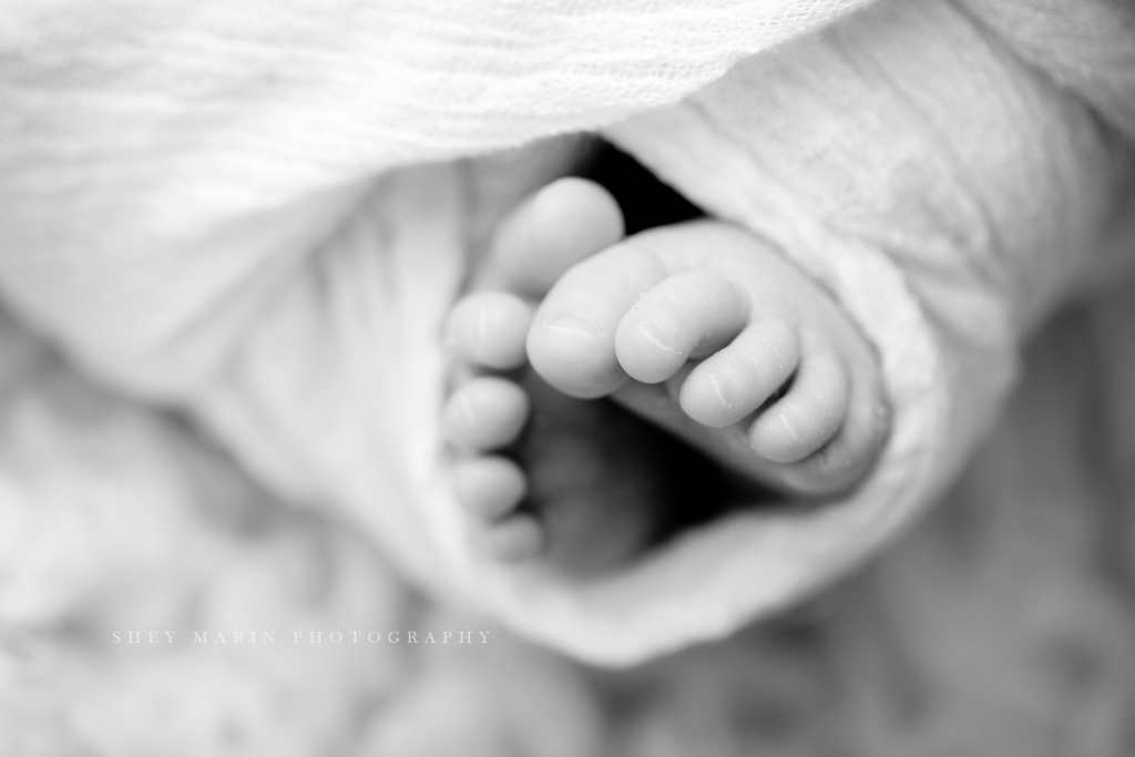 studio newborn macro black and white of toes | Washington DC baby photographer