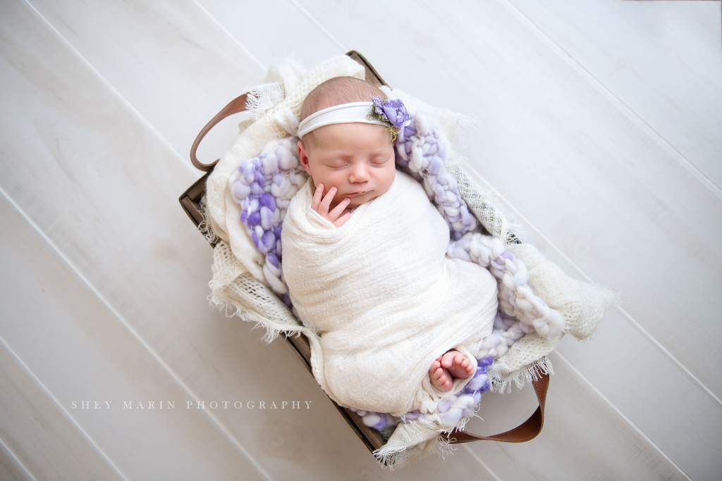 studio newborn session | Washington DC baby photographer
