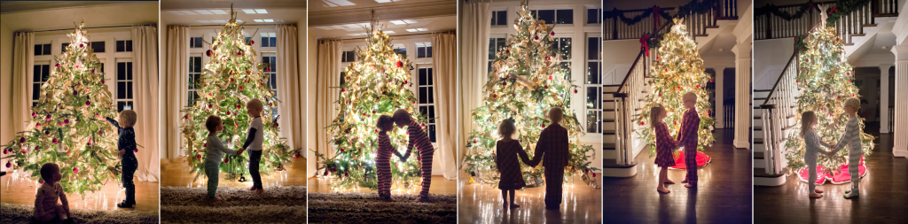 Christmas tree | washington DC family photographer