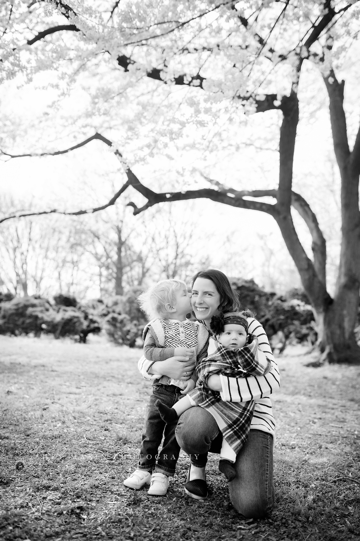 weeping cherries washington DC family photographer