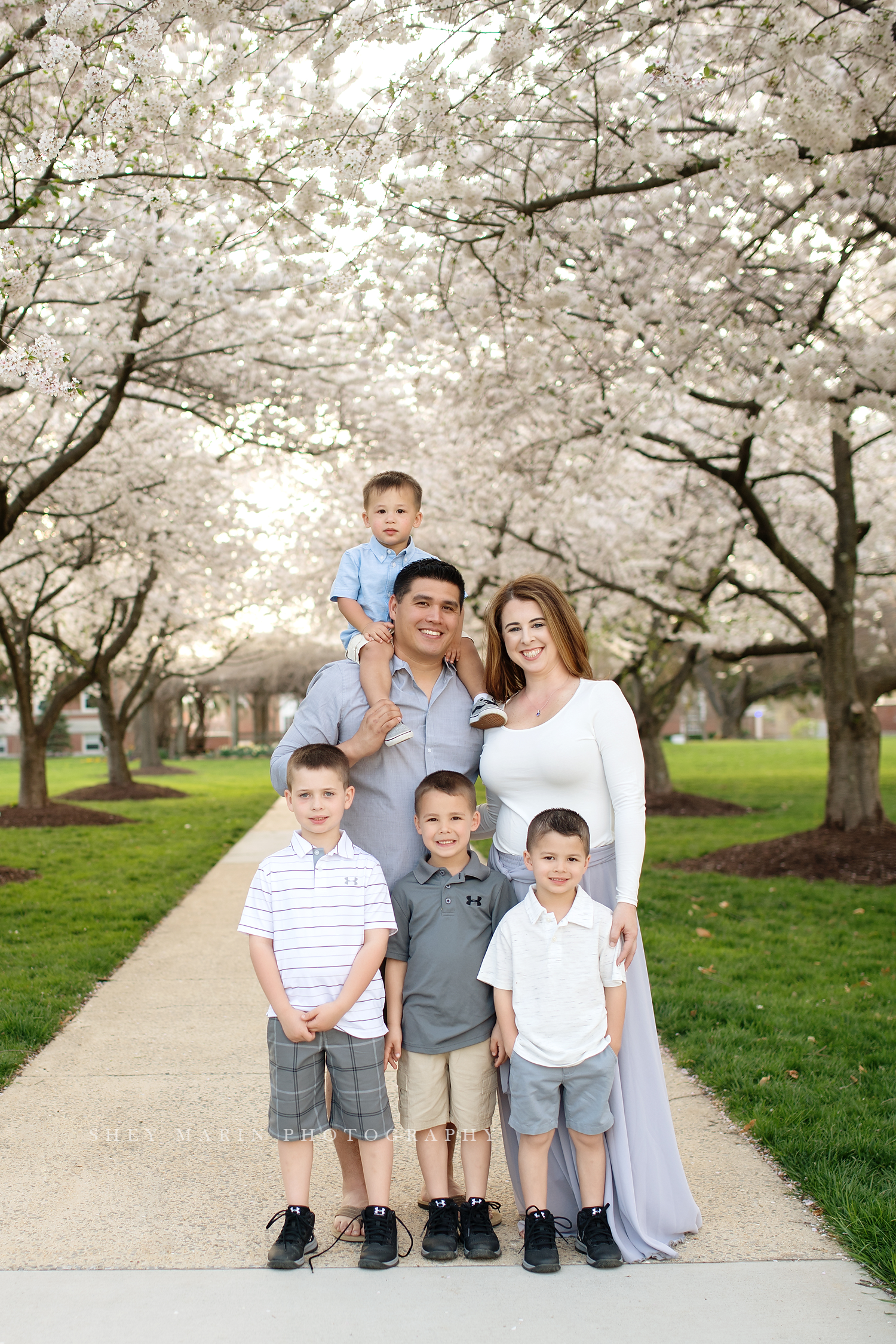 Spring cherry Frederick Maryland family photographer
