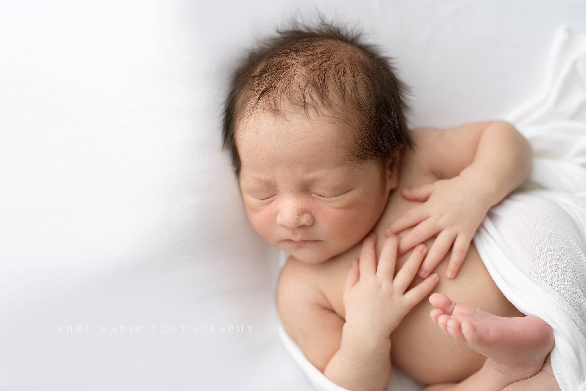 Frederick Maryland newborn baby photo session