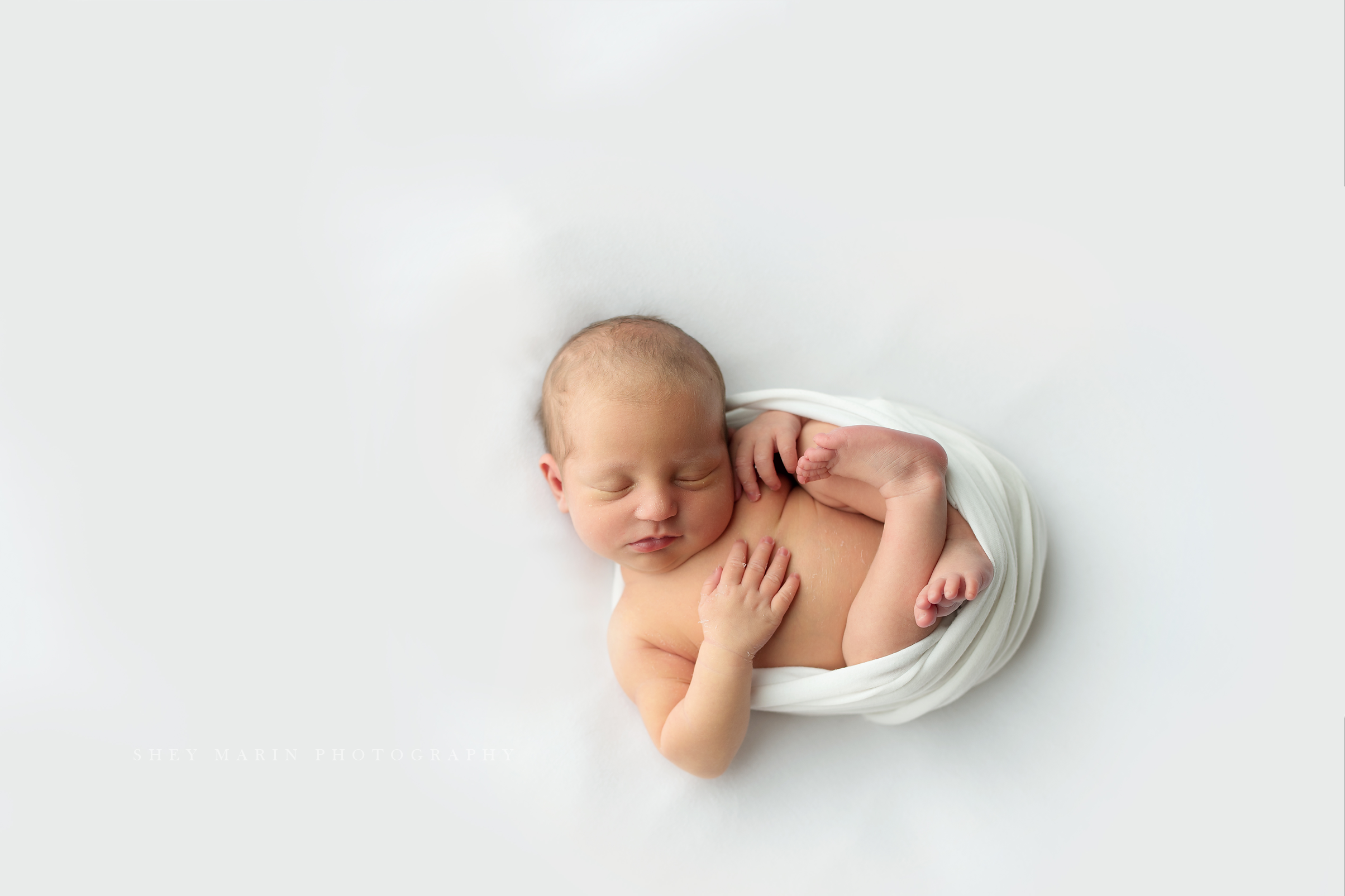 newborn baby studio frederick maryland