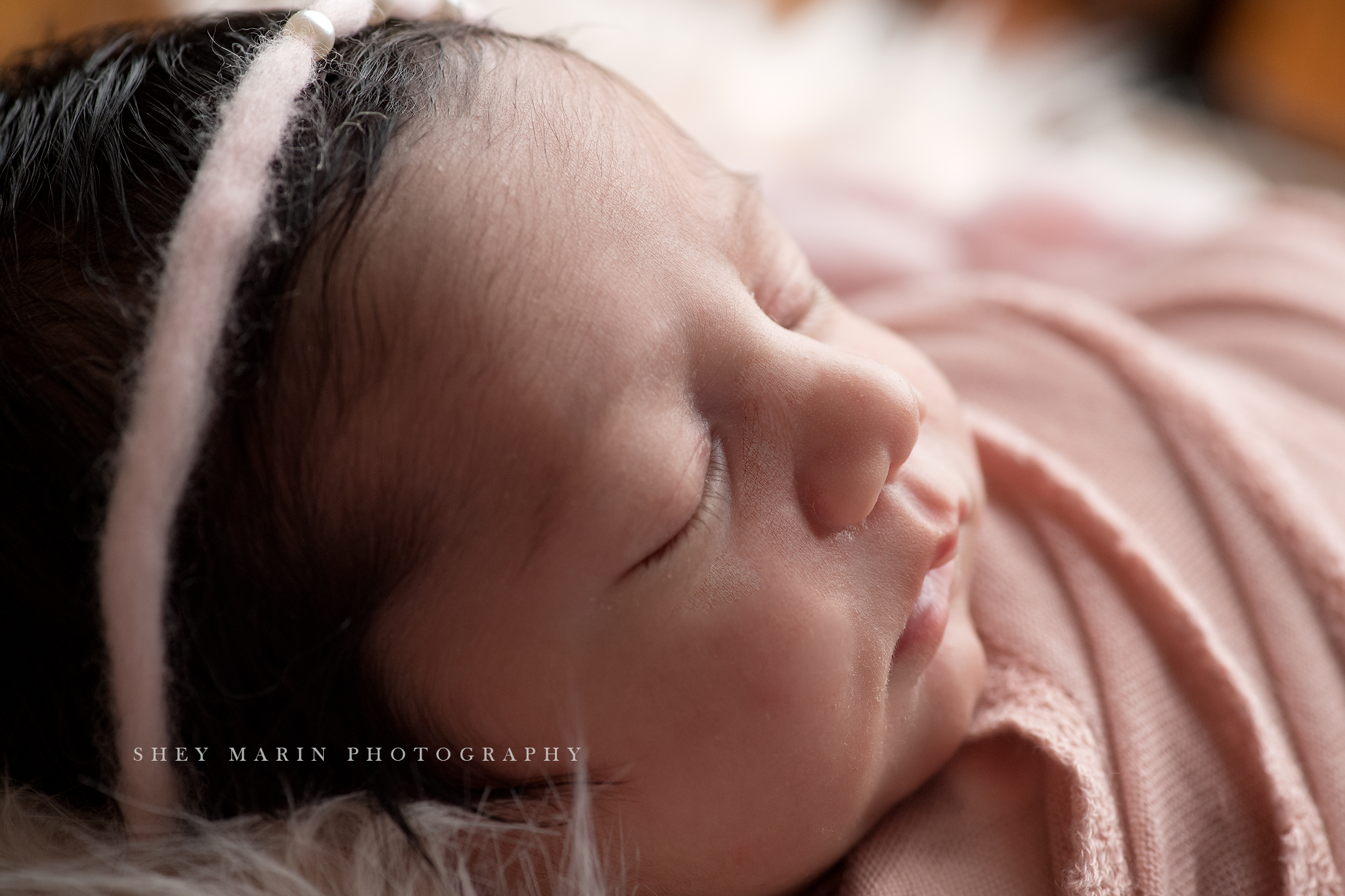 baby girl frederick newborn photographer