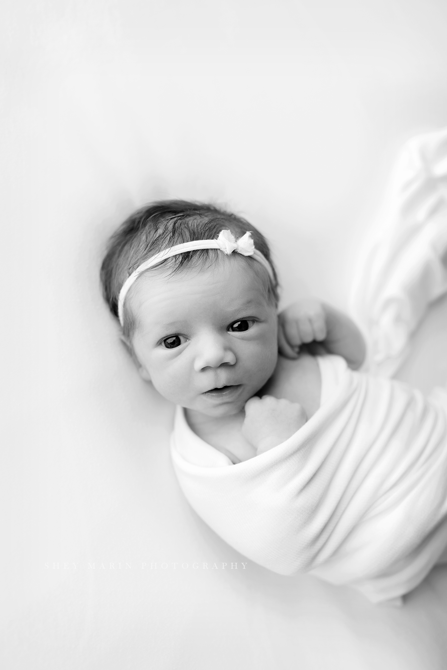 baby sister newborn frederick maryland photographer