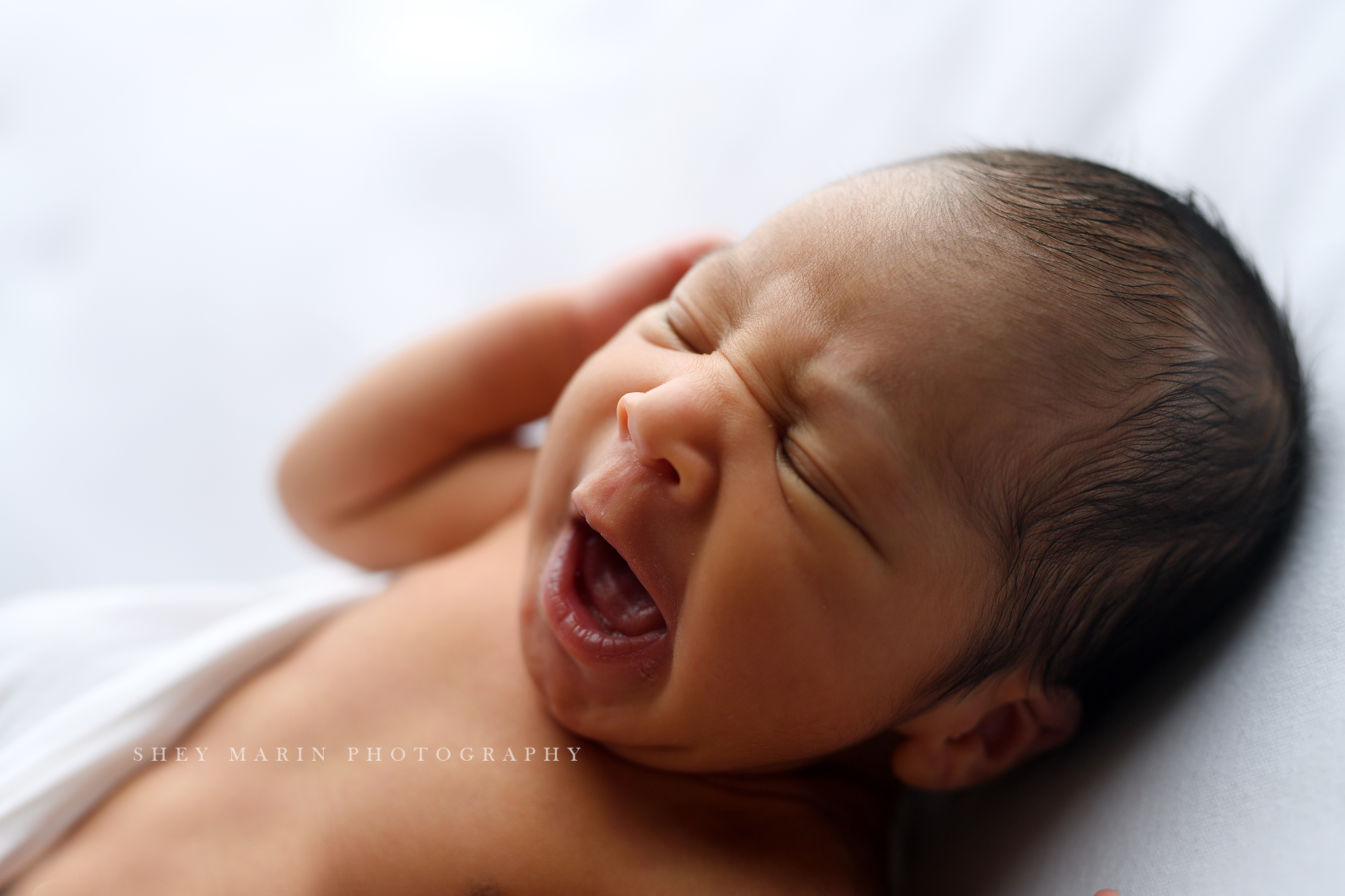 Washington DC adorable newborn photographer