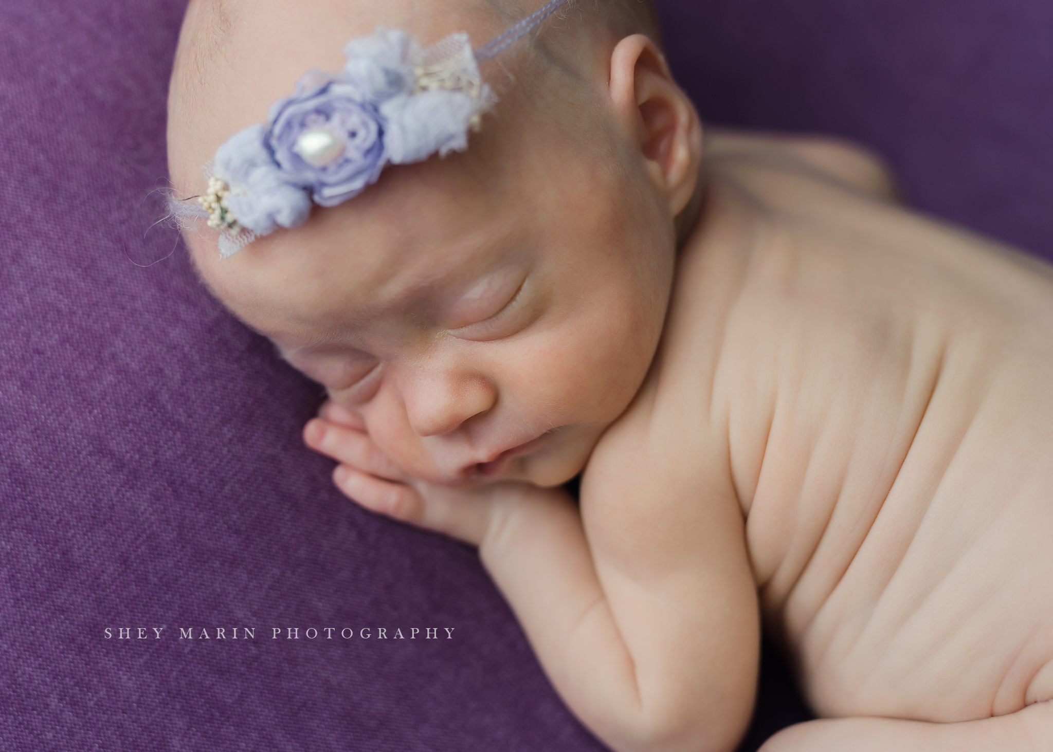 DC newborn photographer