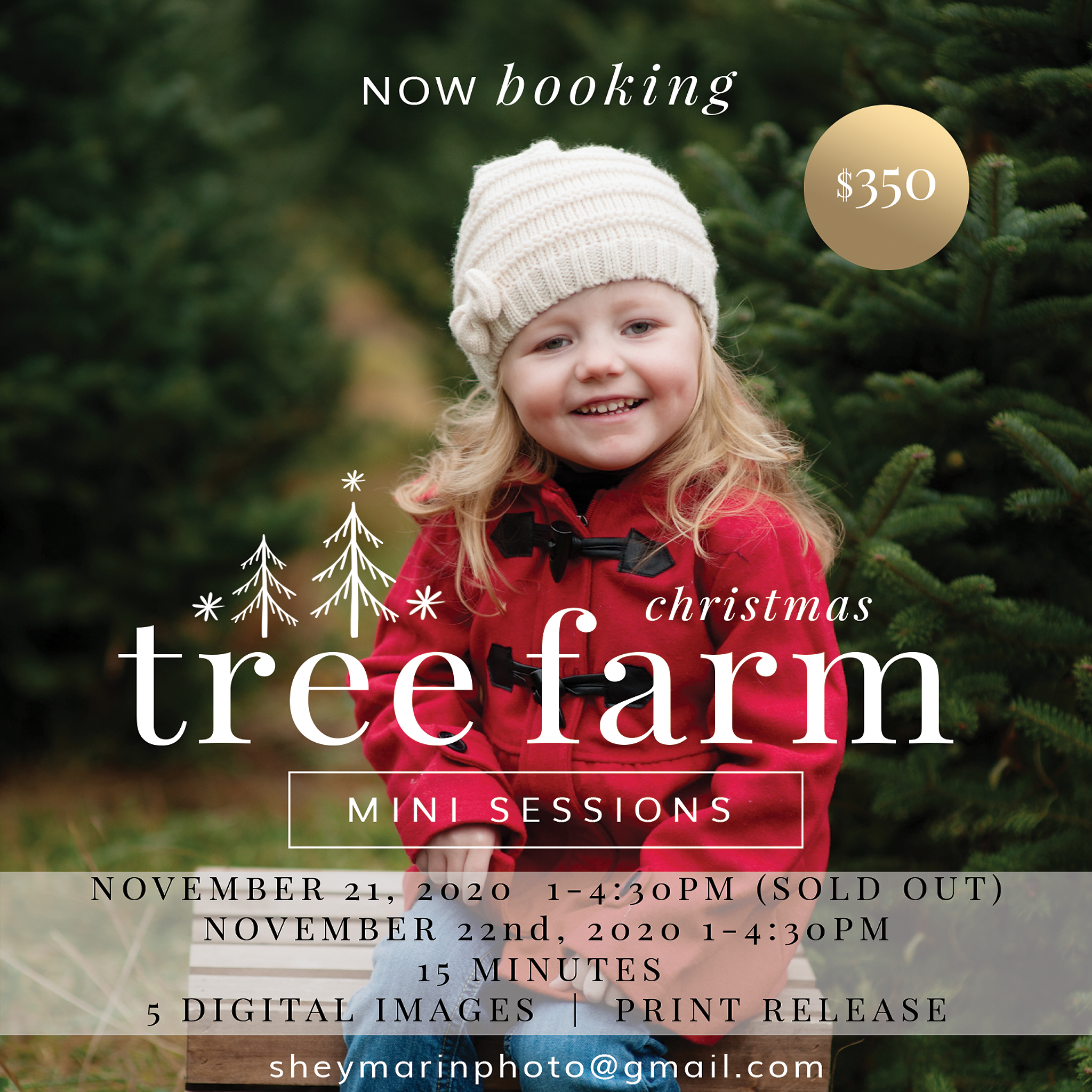 tree farm mini session