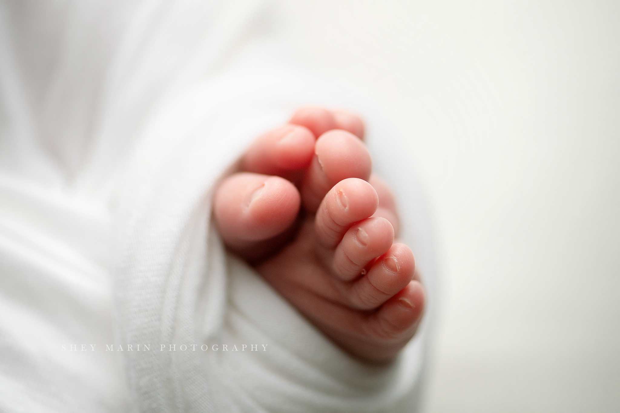 macro newborn toes