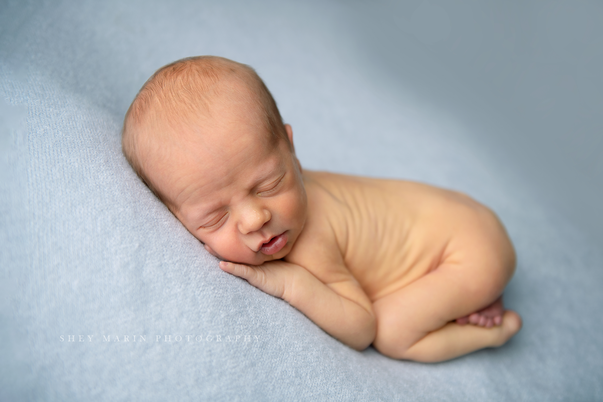 newborn baby posed on blue blanket