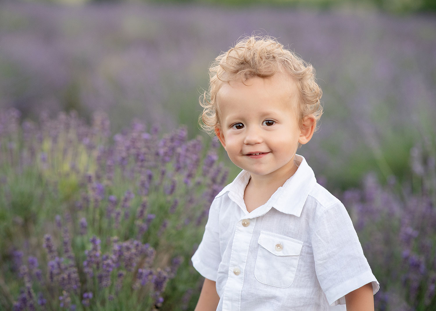 lavender family photos