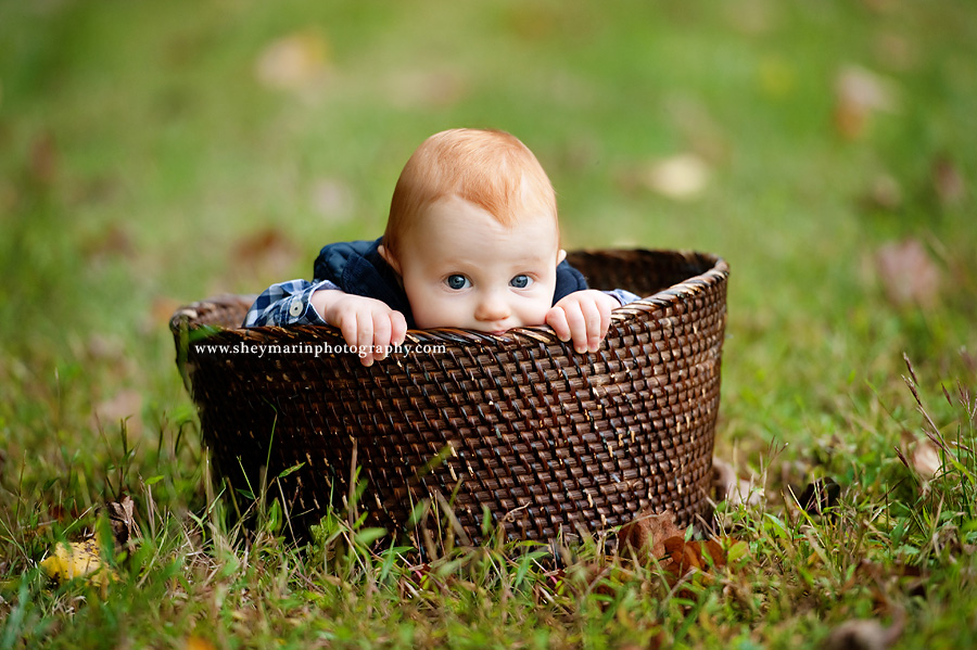 washington dc family photographer