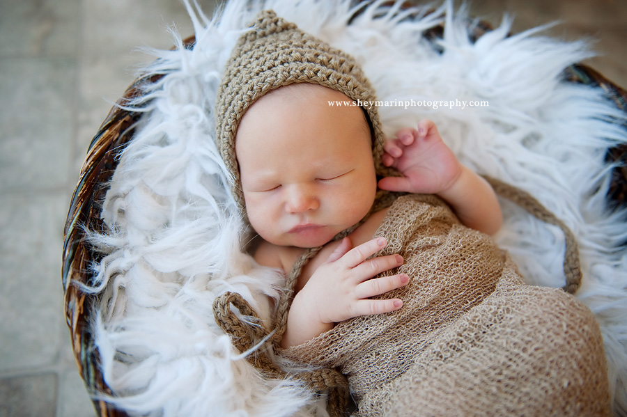 Frederick Maryland Newborn Photographer