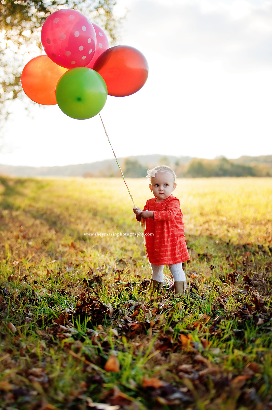 Frederick Maryland Baby Photographer