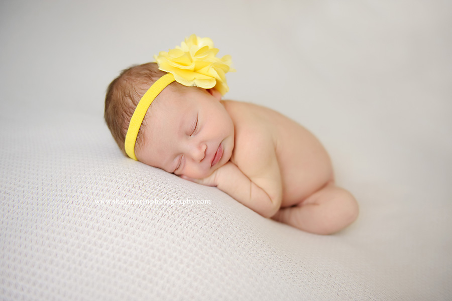 washington dc newborn photographer