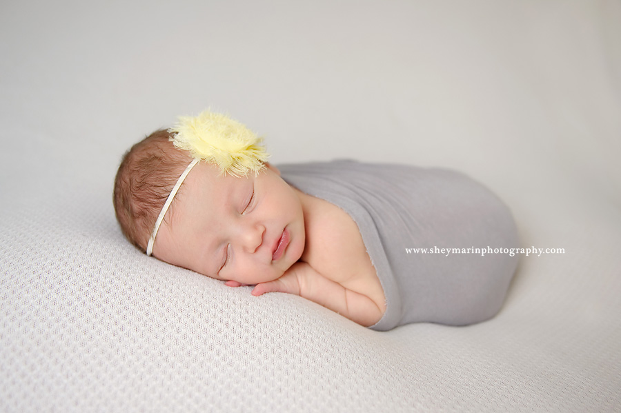 washington dc newborn photographer