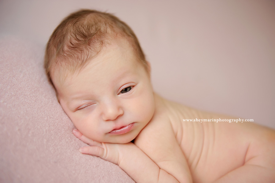 washington dc newborn photographer