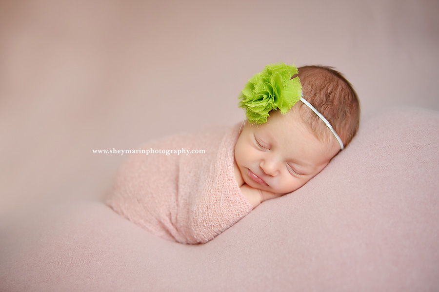 washington dc newborn photographer