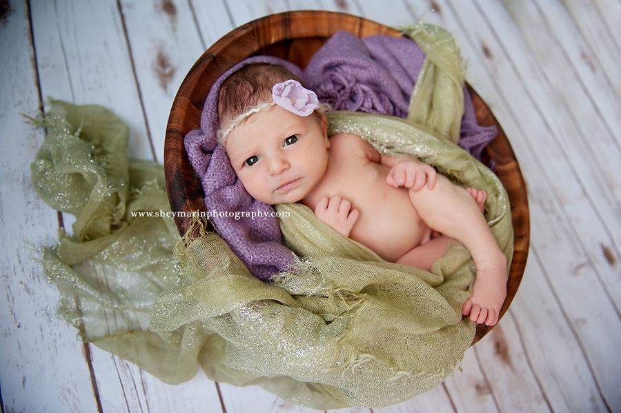 washington dc newborn photographer