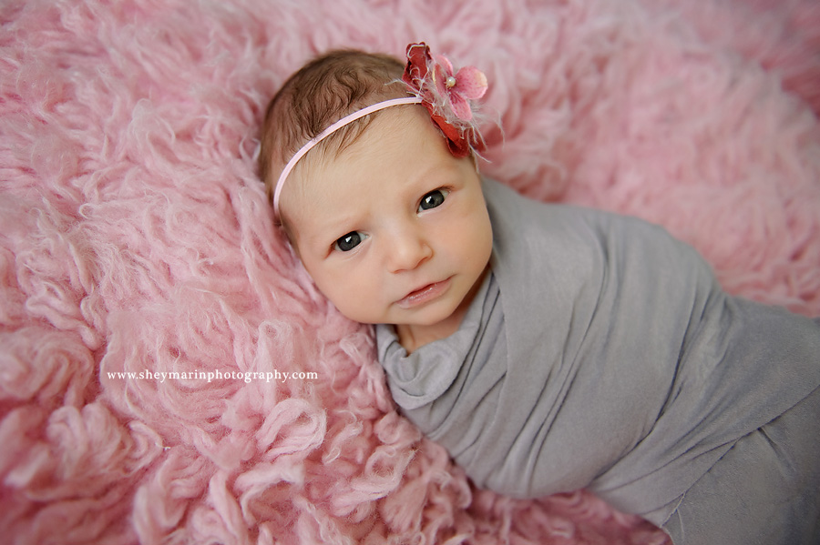 washington dc newborn photographer