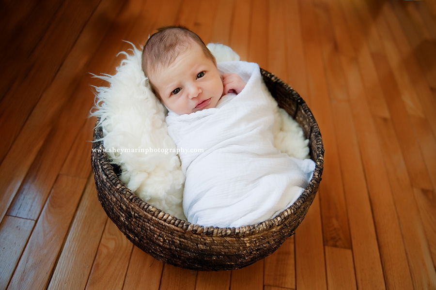 washington dc newborn photographer